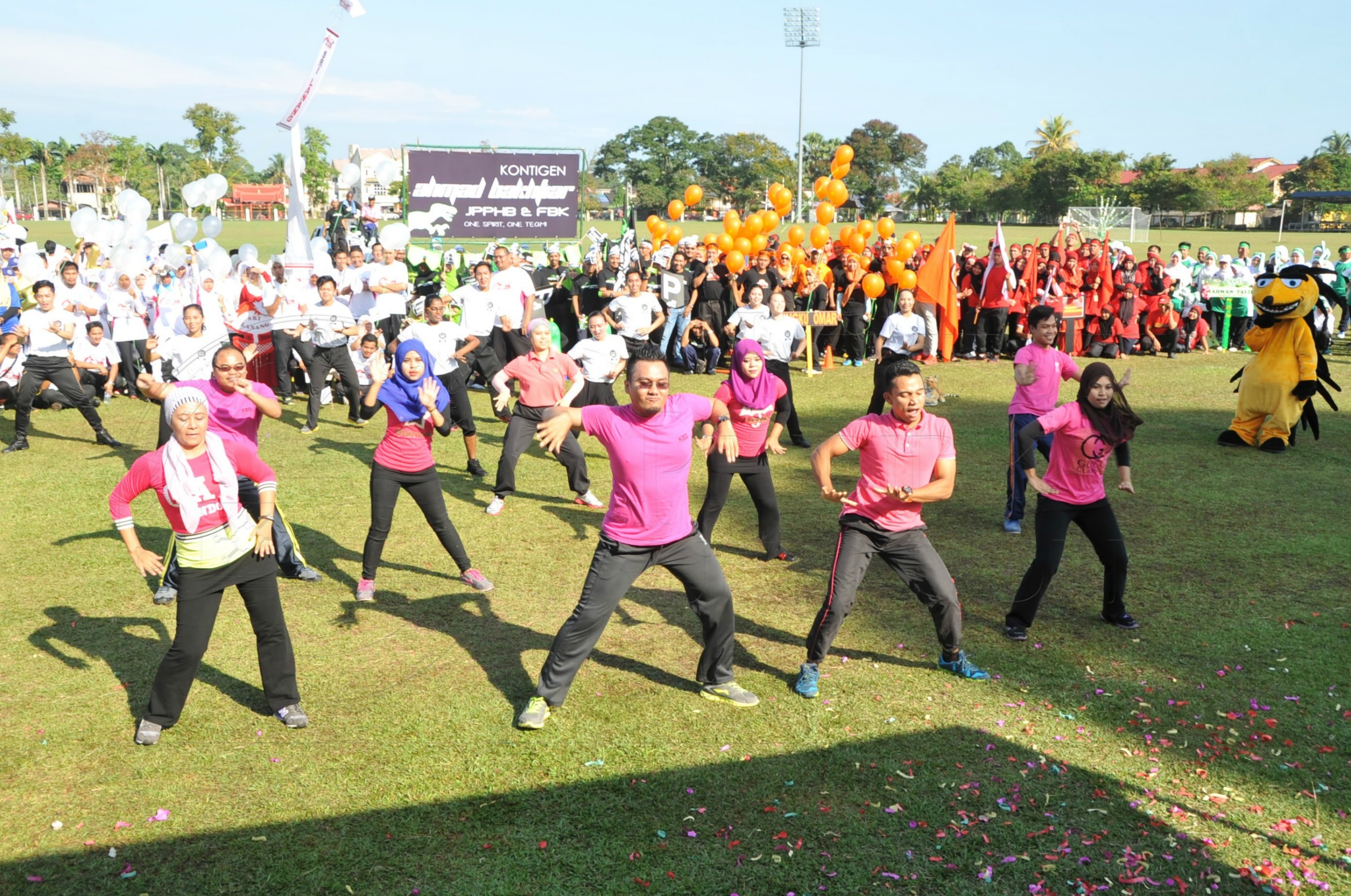 PRO 15 53 KIESTA HAS 3925